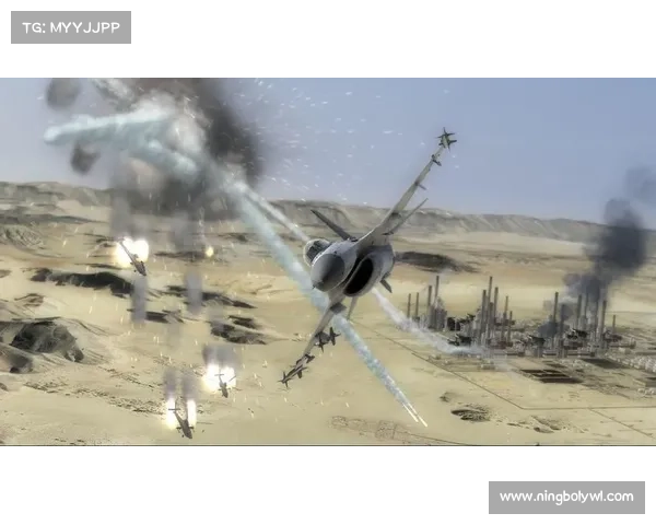 《安装鹰击长空1中文版时常见问题及解决方案全攻略》