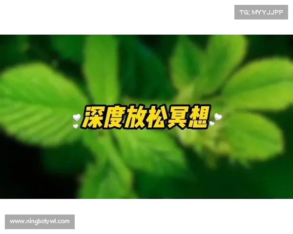 轻松愉快放松心情的休闲小游戏玩法全攻略助你释放压力享受片刻宁静