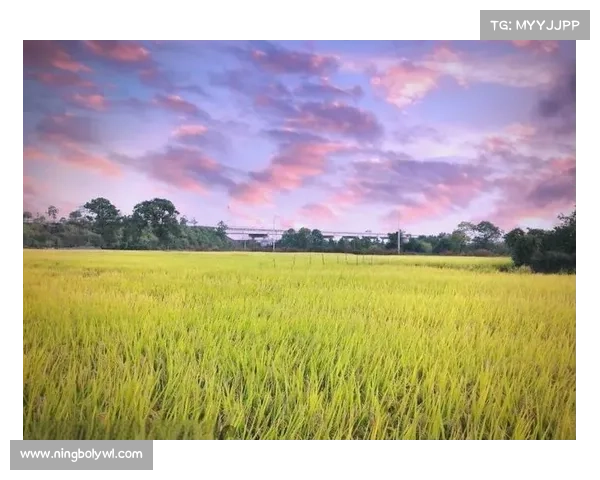 感受小满时节的田园诗意与自然馈赠,探索乡村丰盈的宁静与美好 感受小满时节的田园诗意与自然馈赠,探索乡村丰盈的宁静与美好