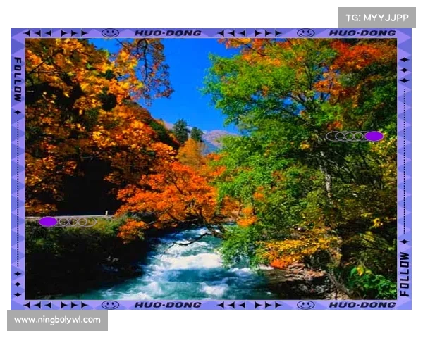 《深入永歌森林探寻自然奥秘与生态奇观的秘密之旅》 《深入永歌森林探寻自然奥秘与生态奇观的秘密之旅》