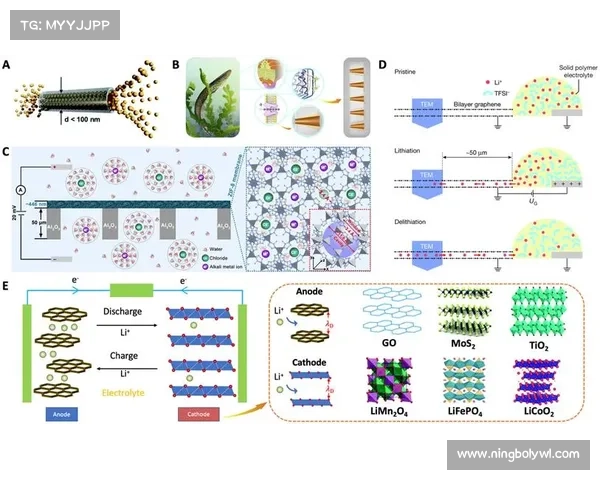 冰虫鳞片结构与功能的最新研究进展及其在生物仿生领域的应用探索