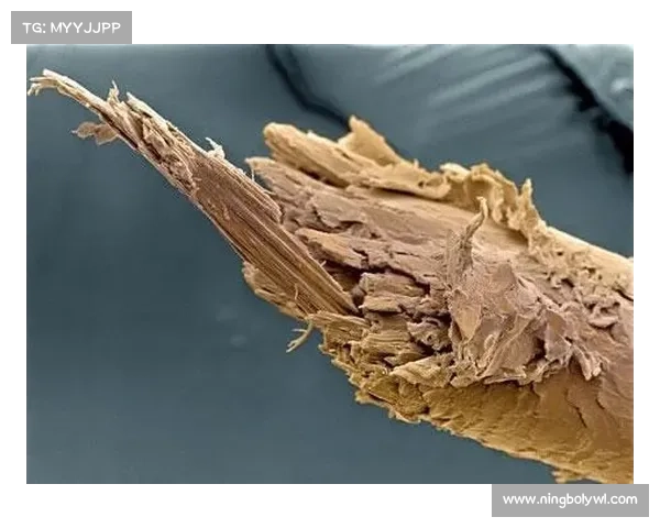 科学探索与生态共生视角下人类可持续吃土计划的系统化实践指南 科学探索与生态共生视角下人类可持续吃土计划的系统化实践指南