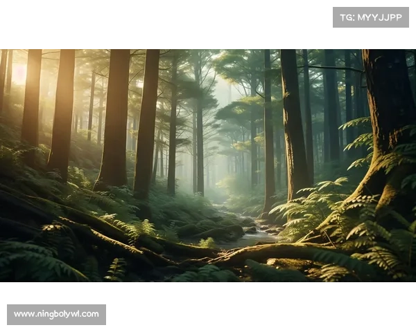 踏入神兽森林深处揭开远古生灵与自然魔力共生的神秘秘密