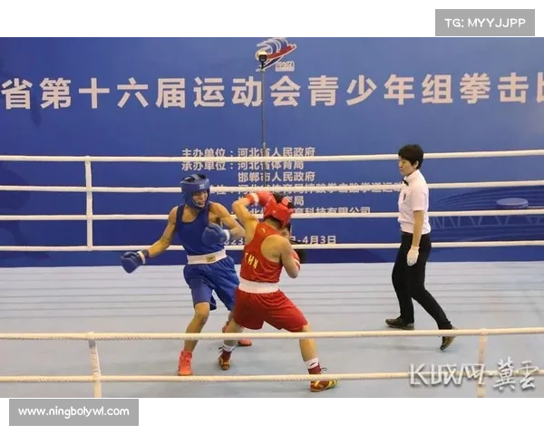 如何从技巧对抗观众反应等多个角度评价拳击比赛的精彩程度